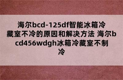 海尔bcd-125df智能冰箱冷藏室不冷的原因和解决方法 海尔bcd456wdgh冰箱冷藏室不制冷